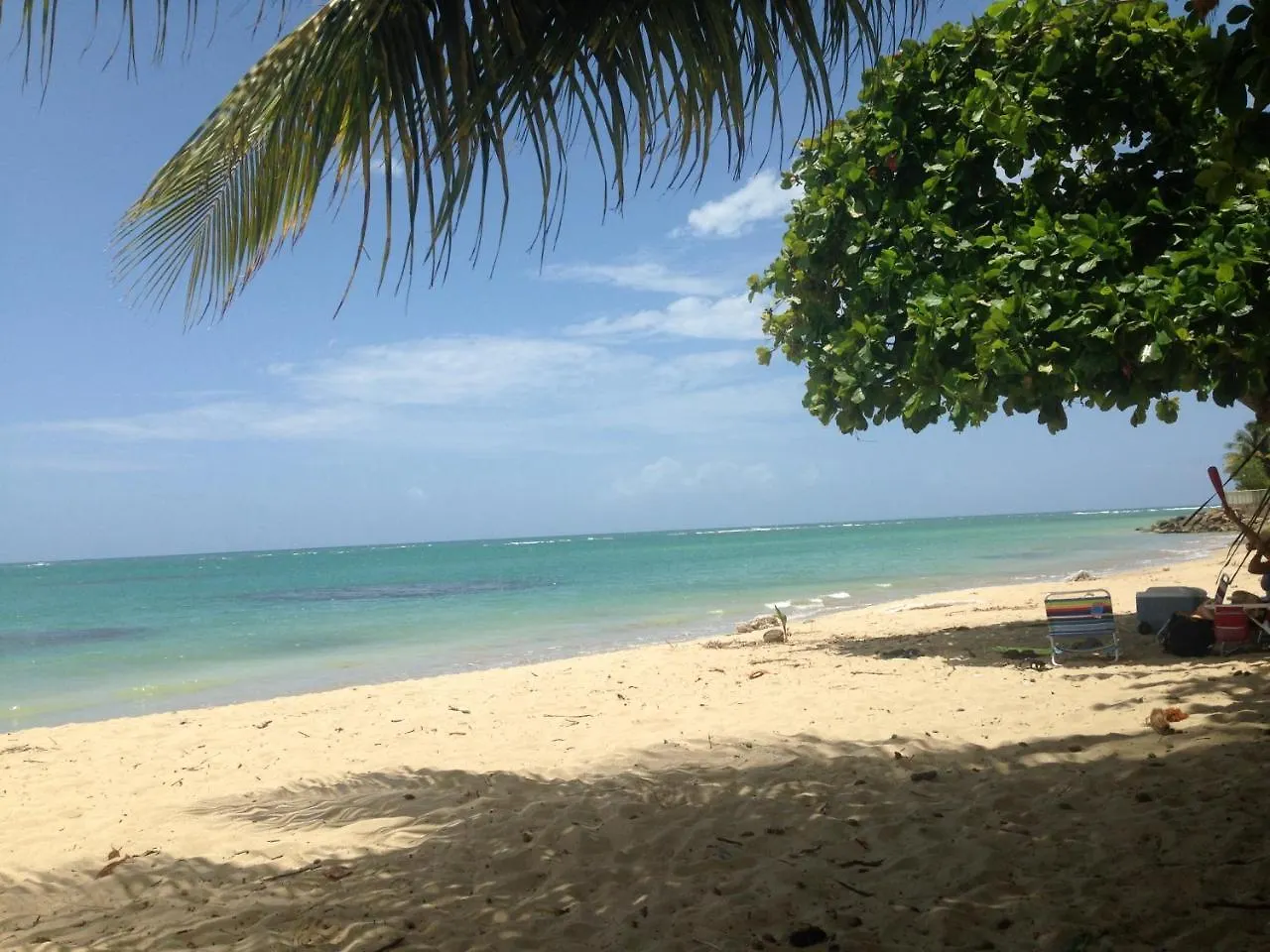 Aquatika Beachfront And Rainforest Views Appartamento Loiza