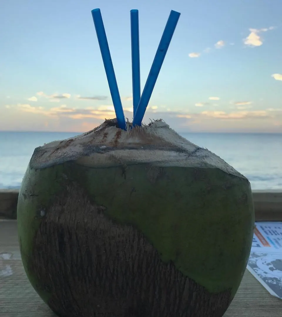 Aquatika Beachfront And Rainforest Views Appartamento Loiza